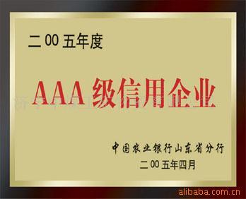 AEG電動工具南方銷售部企業(yè)信用評估深度解析